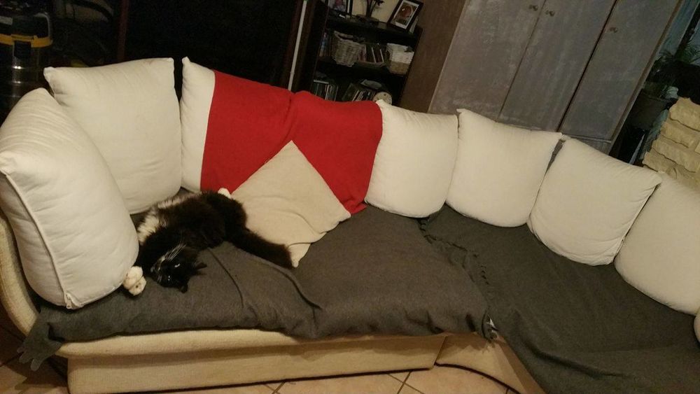 Grand canap� d angle 290 La Villeneuve (71)