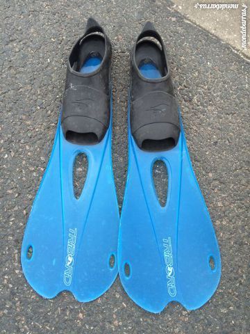 grande palme 8 Le Plessis-Robinson (92)