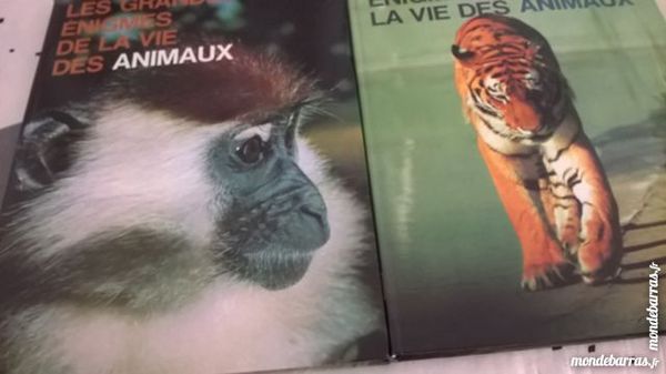 Les grandes �nigmes de la vie des animaux 3 Les M�es (04)