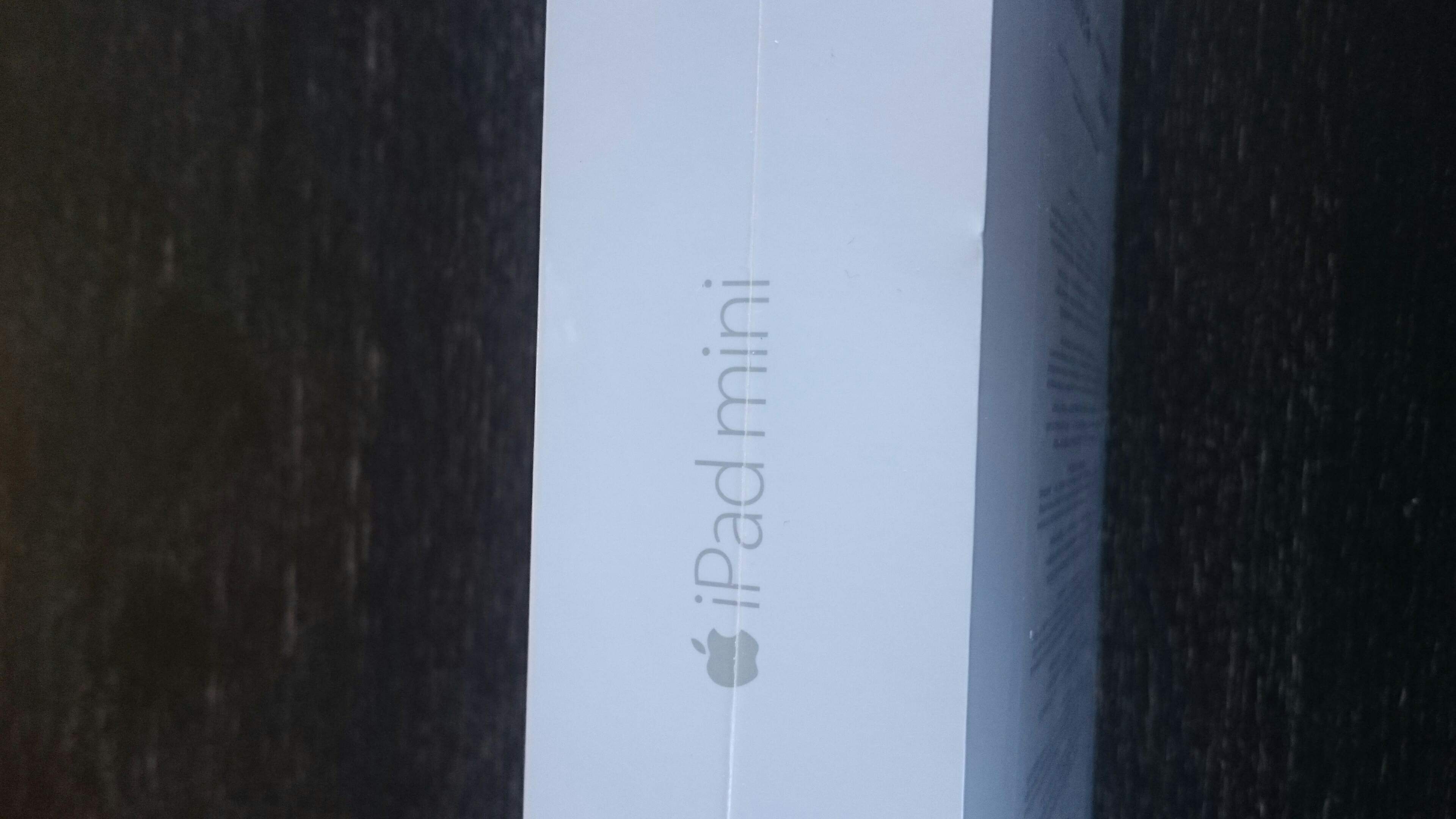 ipad mini 4 128 go wifi silver 480 Censeau (39)