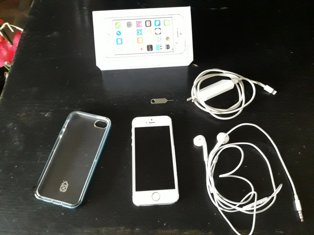 Iphone 5S 16Go 280 Saint-Michel-sur-Orge (91)