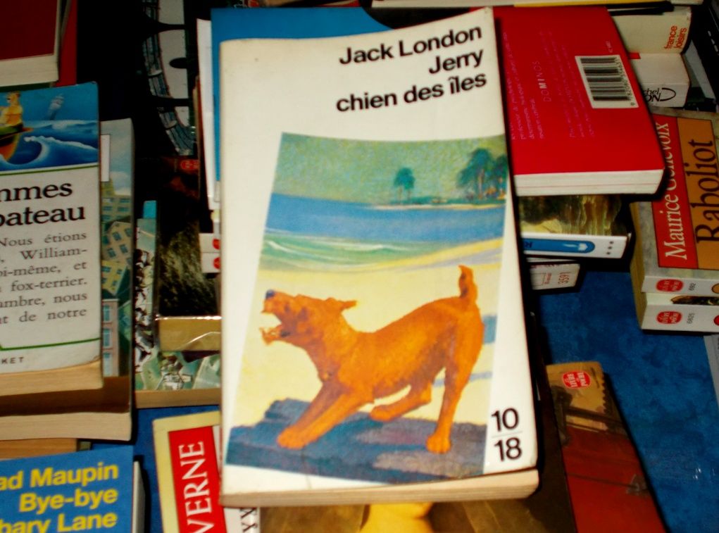 Jack London Jerry chien des �les 10/18 5 Monflanquin (47)