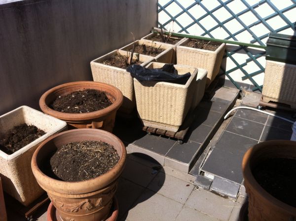 JARDINIERES 40 Nice (06)