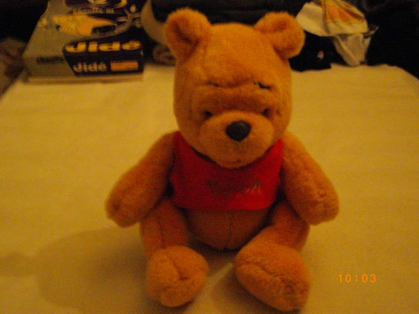 jolie peluche WINNIE L'OURSON avec son habit, comme neuve 8 Dunkerque (59)