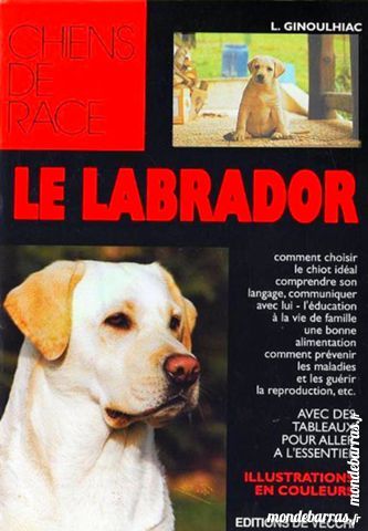 LABRADOR - DE VECCHI 12 Laon (02)