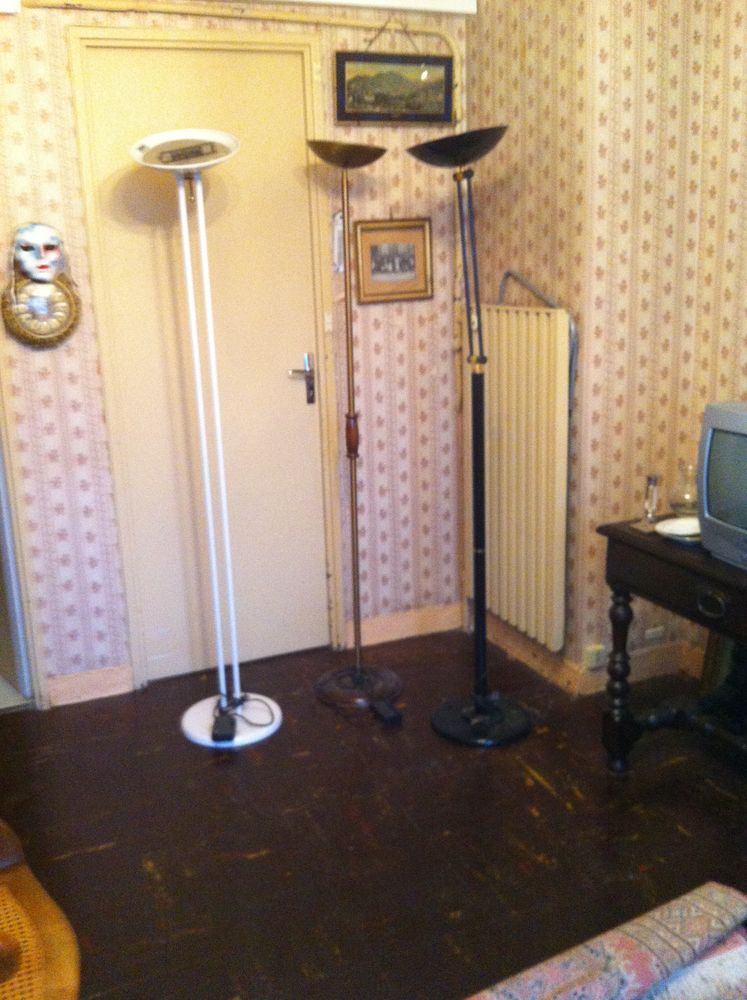 Lampe halog�ne laqu� noire/blanche/finition bronze 45 Castres (81)