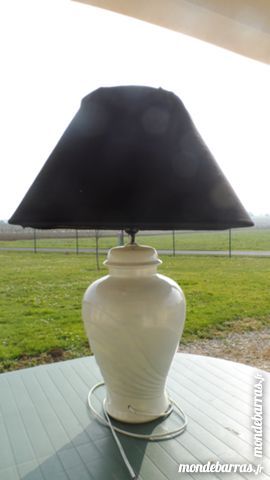 lampe de salon 15 Fl�ac-sur-Seugne (17)