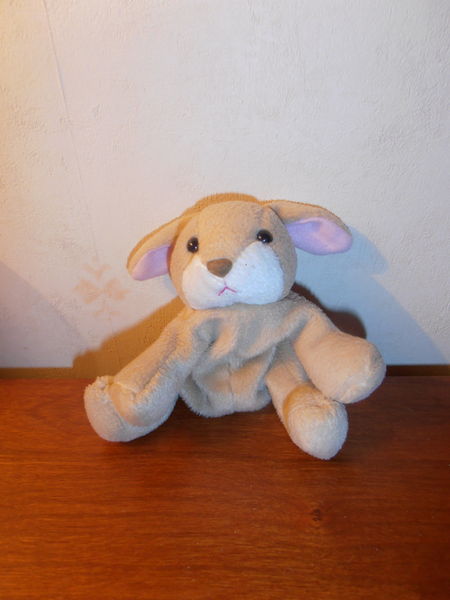 Lapin c�lin (74) 3 Tours (37)