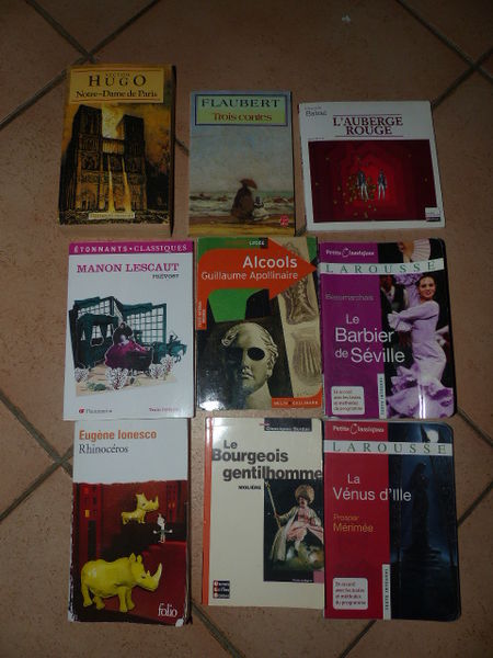 livre demande a l'ecole 2 Viriat (01)