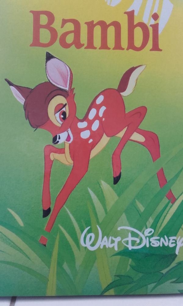 Livre pour enfants 2 �tampes (91)