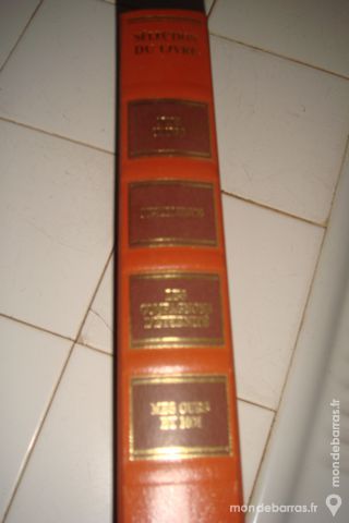 Livre 4 themes 3 Vend�me (41)