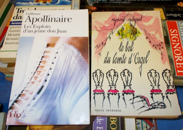 lot de 2 livres g apollinaire et r Radiguet (classique) 8 Monflanquin (47)