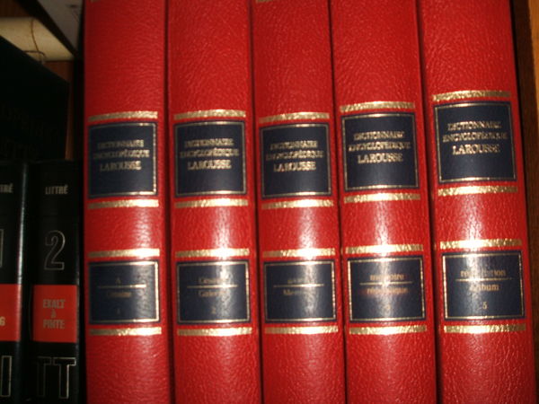 LIVRES DIVERS 40 Soyaux (16)