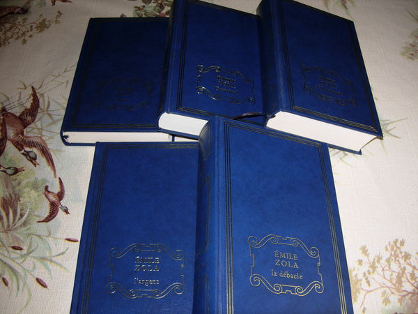 Lot de 5 livres d'Emile ZOLA 0 Saint-Germain-Laval (42)