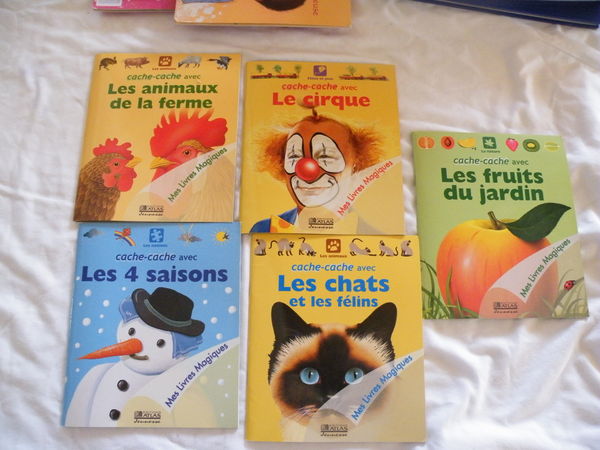 5 livres magiques 2 Viriat (01)