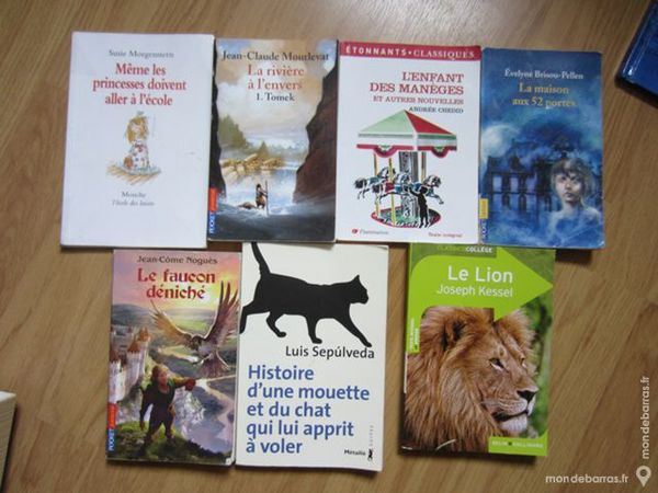 Livres de poche 2 Eaunes (31)