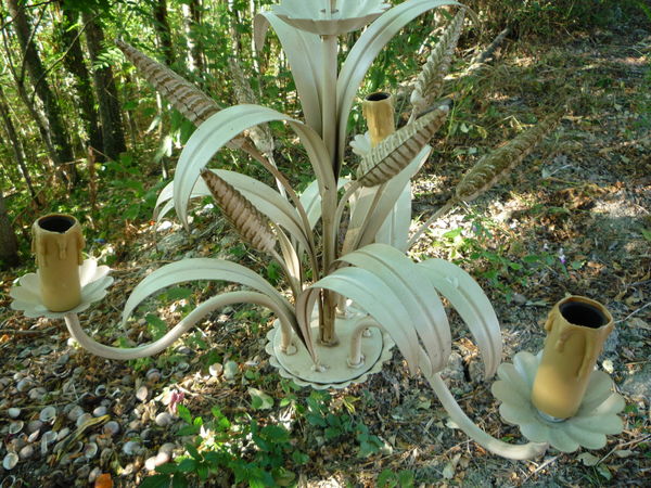 Lustre d�co/�pis de bl� 35 Castres (81)