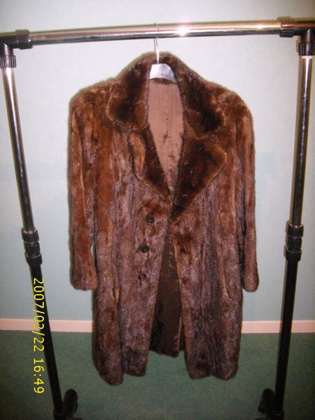 manteau de vison pleine peau tr�s bon �tat 0 Moulins (03)