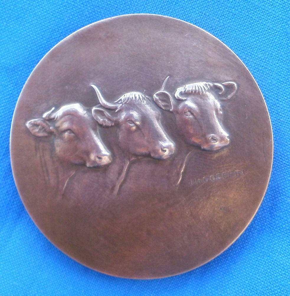 Medaille bronze J H GOEFFIN offert / d�put� Tarn et Garonne 15 Montauban (82)