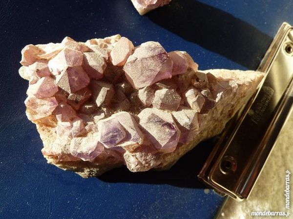 MIN�RAUX � collection �FOSSILES 1 Claye-Souilly (77)