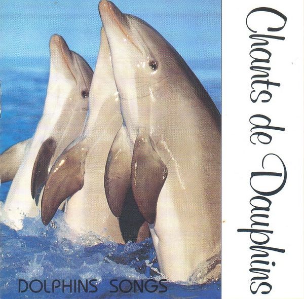 Mer Monde marin Dauphins Baleines 5 Bitry (60)