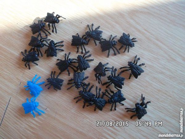 19 MOUCHES NOIRS 2 Chambly (60)