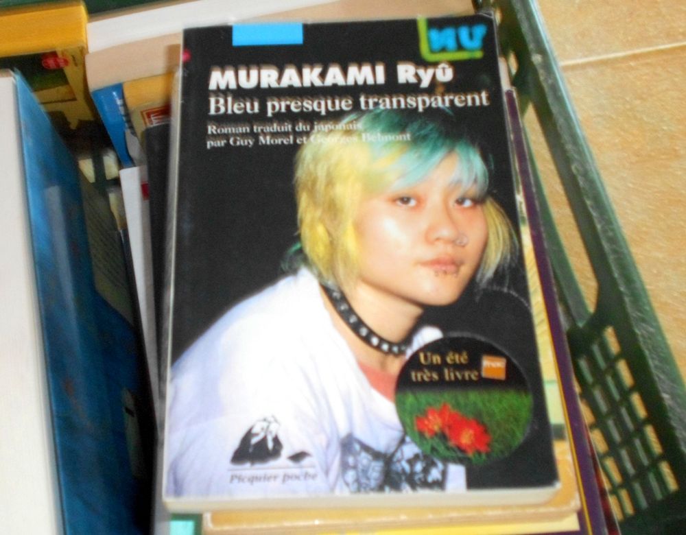 Murakami Ry� Roman Bleu presque transparent 5 Monflanquin (47)