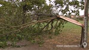 OFFRE BRANCHES D'ARBRE  Paris 18 (75)