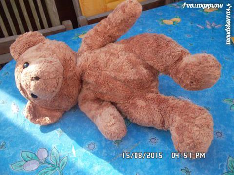 ours doux marron 2 Chambly (60)