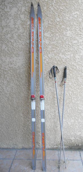 PAIRE SKIS DE FOND DYNASTAR TBE 190 CM 18 Amb�rieux-en-Dombes (01)