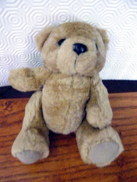 peluche nounours 1 Viriat (01)