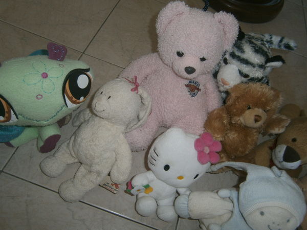 peluches, nounours 3 Annonay (07)