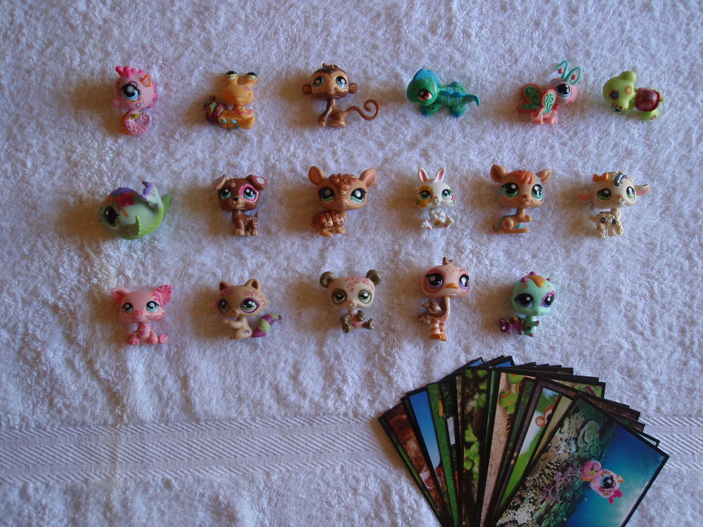 Petshop Postcard (carte postale) 8 Juillan (65)