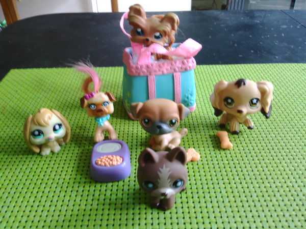 lot petshops 10 Lisses (91)