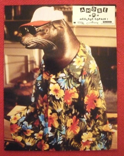 8 photos du film Andr� mon meilleur copain (1994) 30 Sucy-en-Brie (94)