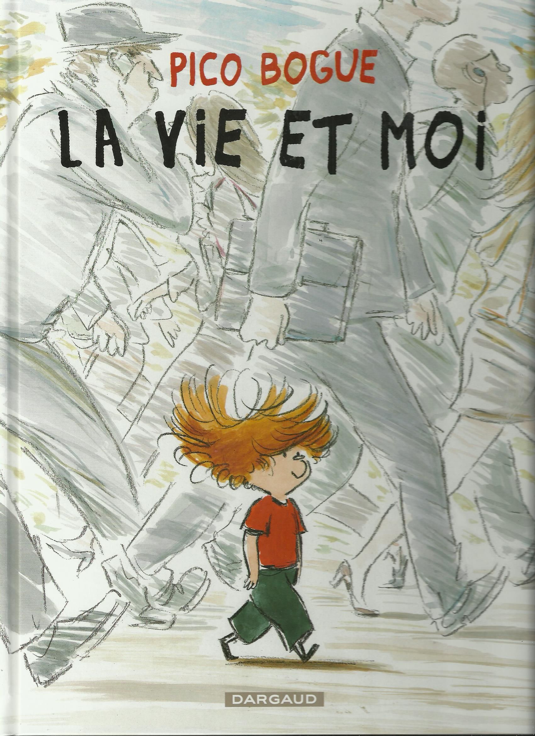 B D PICO BOGUE NEUF 7 Saint-Denis-en-Val (45)