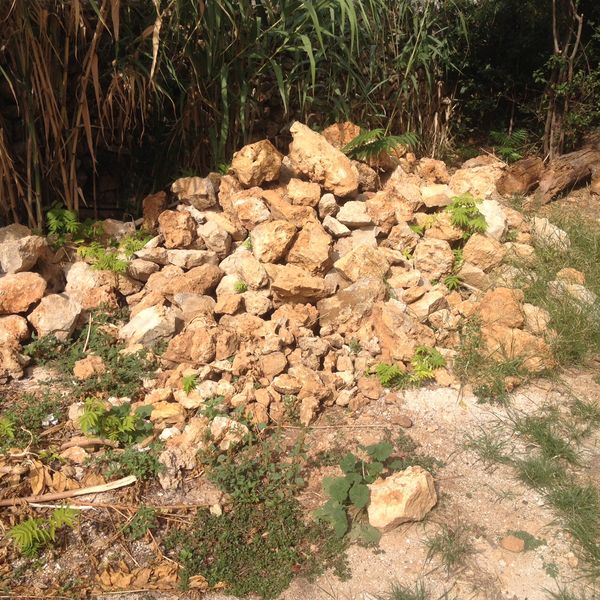 pierres s�ches 80 Marseille 12 (13)