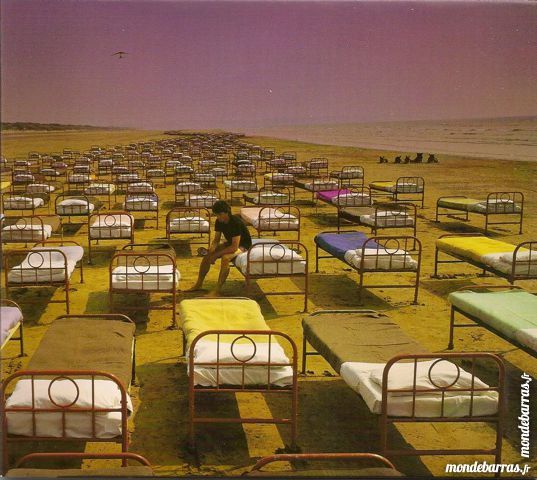 Pink Floyd A momentary lapse of reason 19 Maurepas (78)