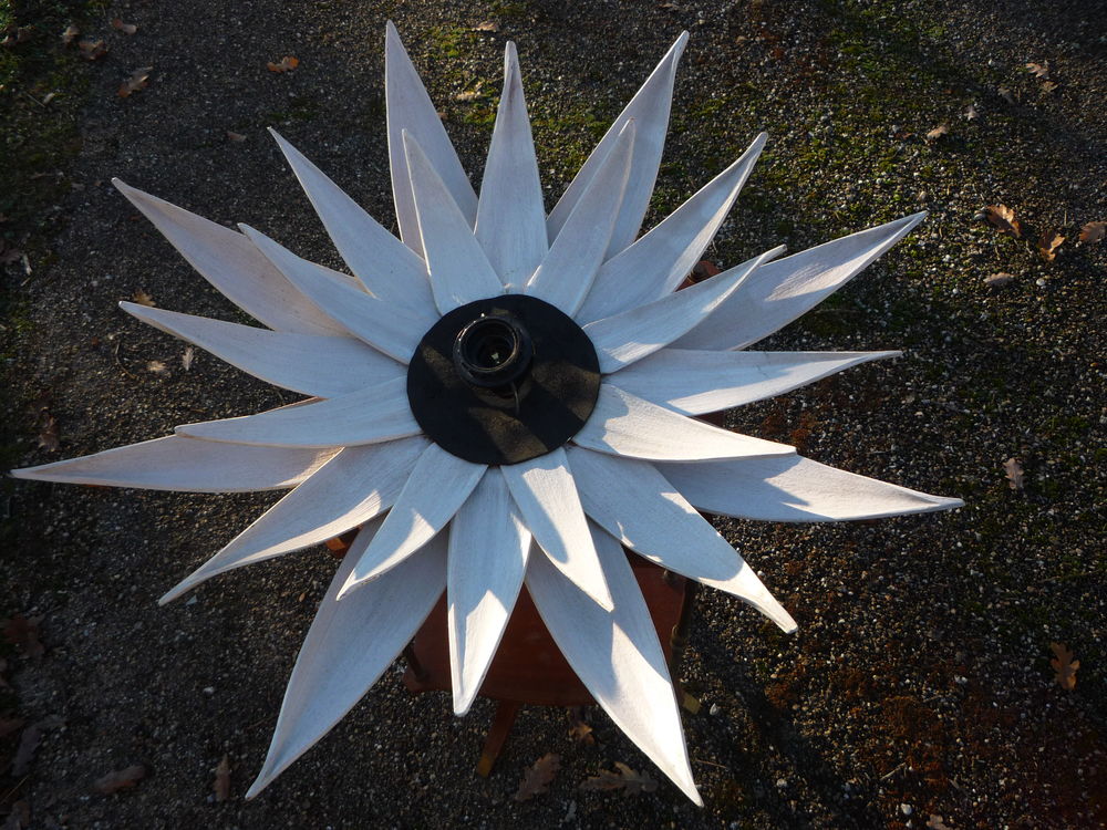 Plafonnier,lustre mural int�rieur/ext�rieur/fleur 20 Castres (81)