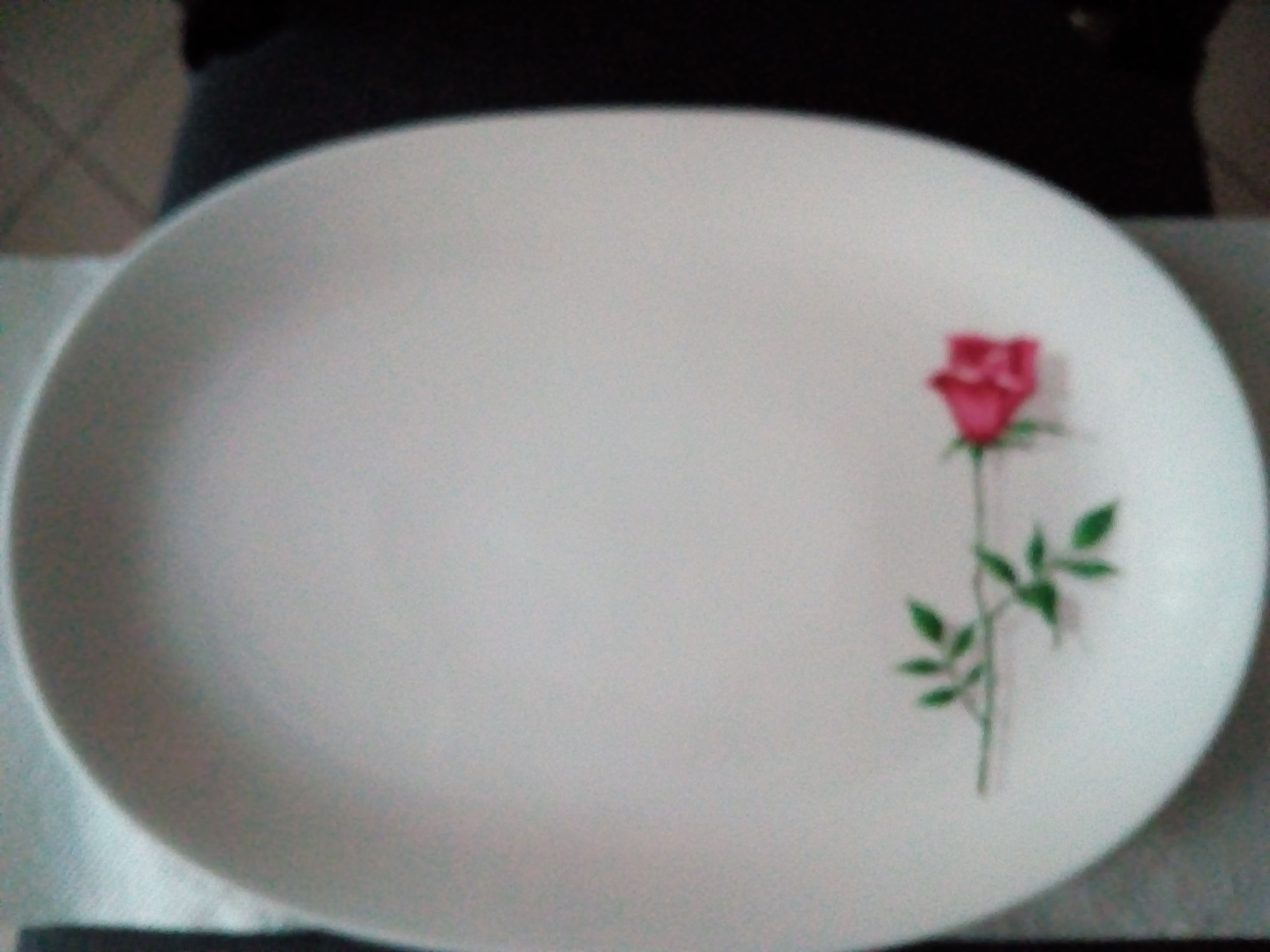 Plat ovale en porcelaine de Bavi�re 10 Savigny-sur-Orge (91)
