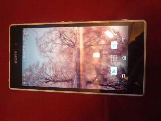 portable sony Xperia Z1 200 Ham-sous-Varsberg (57)