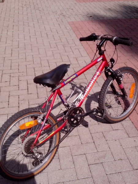 VTT 20 pouces 30 Saverne (67)