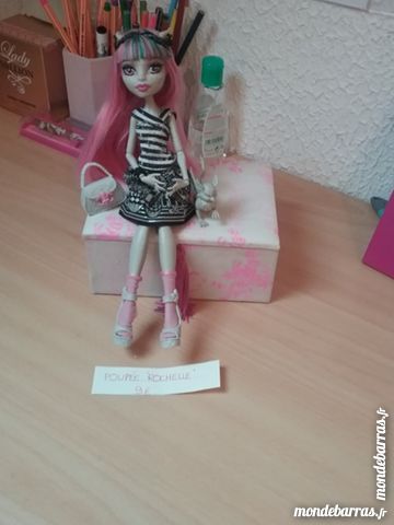 Poup�e 9 Vierzon (18)