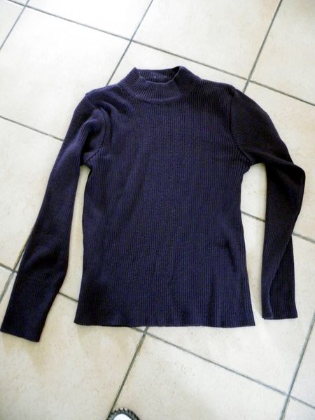 pull violet T42 3 Viriat (01)