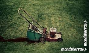 R�cup�ration   tondeuses et motoculteurs  hs 1 Blagnac (31)