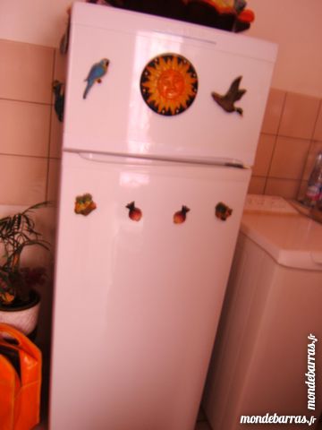 r�frig�rateur 150 Saint-Cernin (15)