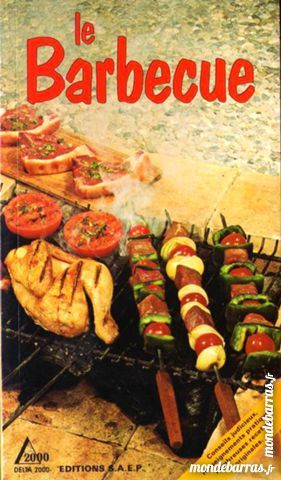 REUSSIR VOTRE BARBECUE 7 Laon (02)