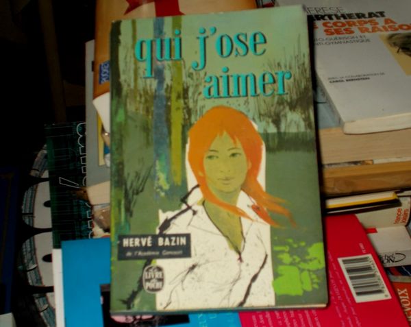 roman qui j'ose aimer herv� bazin 4 Monflanquin (47)