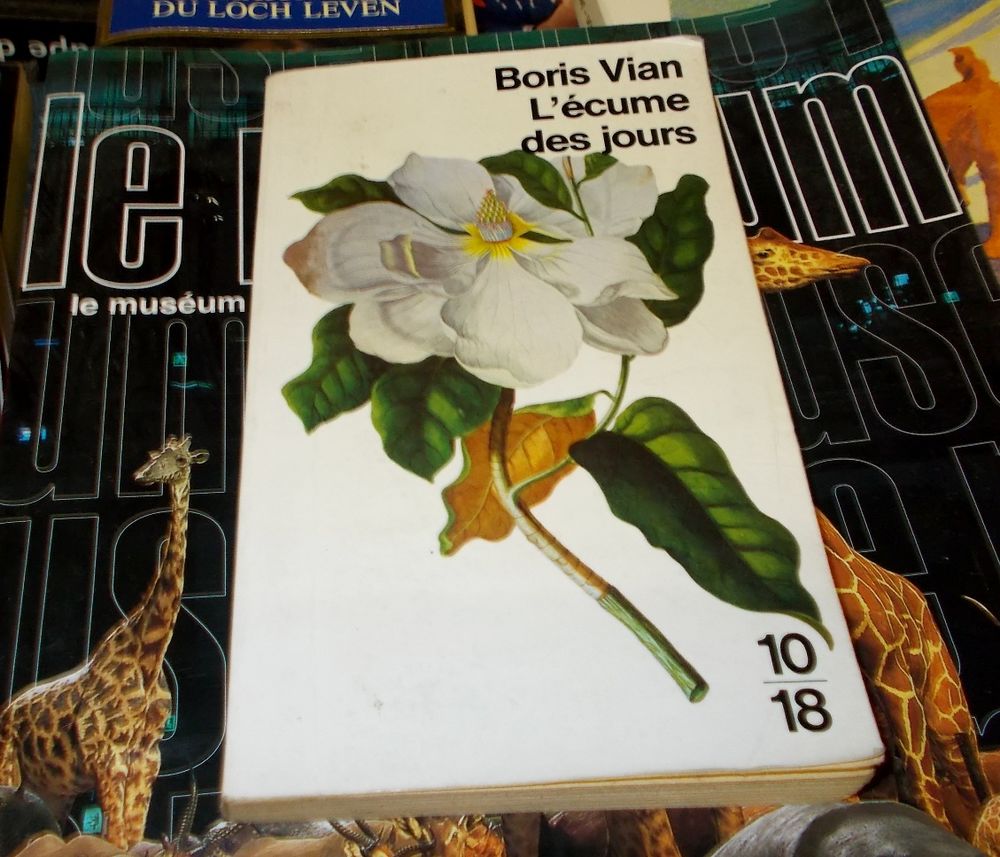 Roman l'�cume des jours de boris Vian 5 Monflanquin (47)