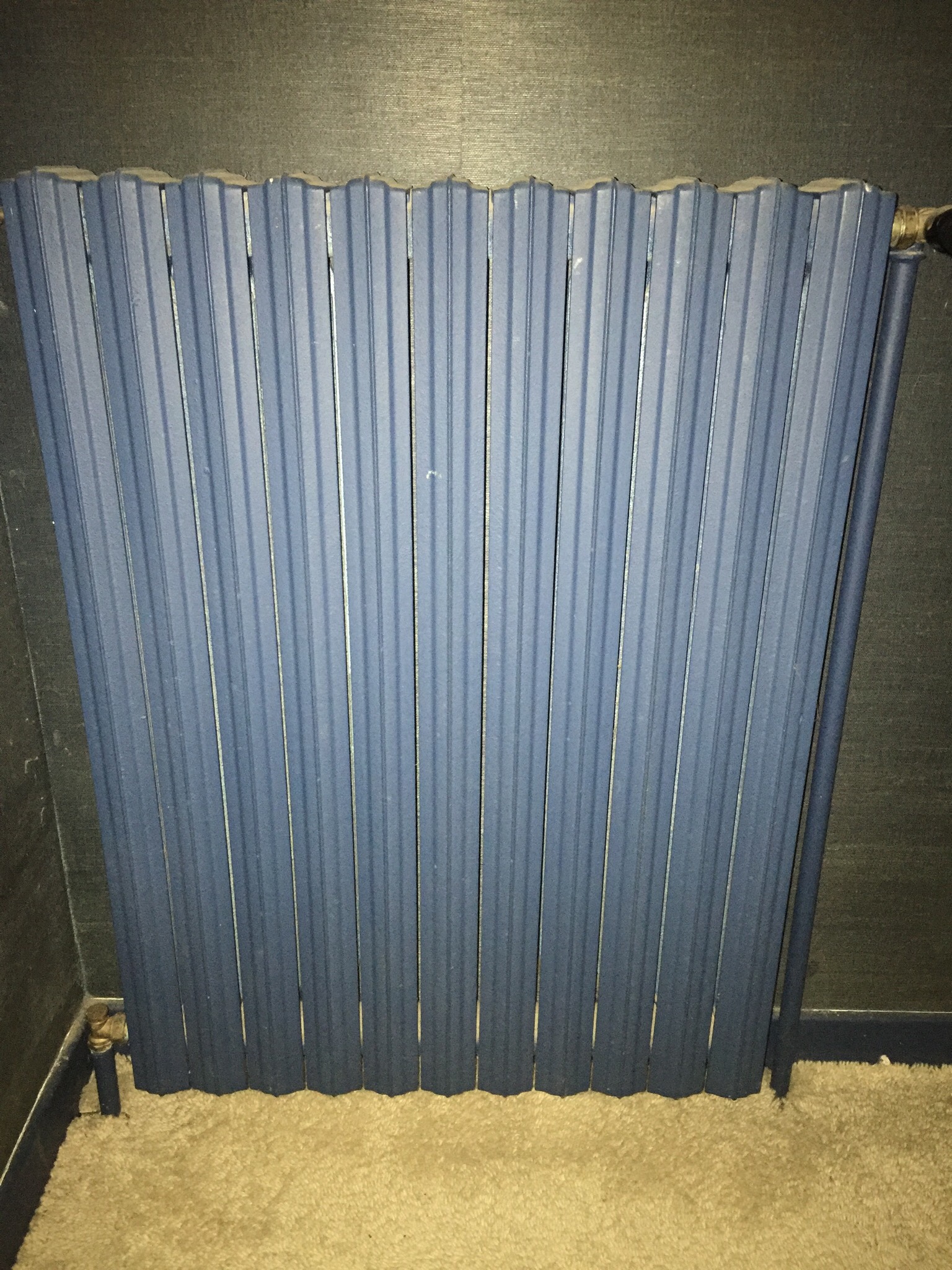 � Saisir Radiateur 50 Romans-sur-Is�re (26)